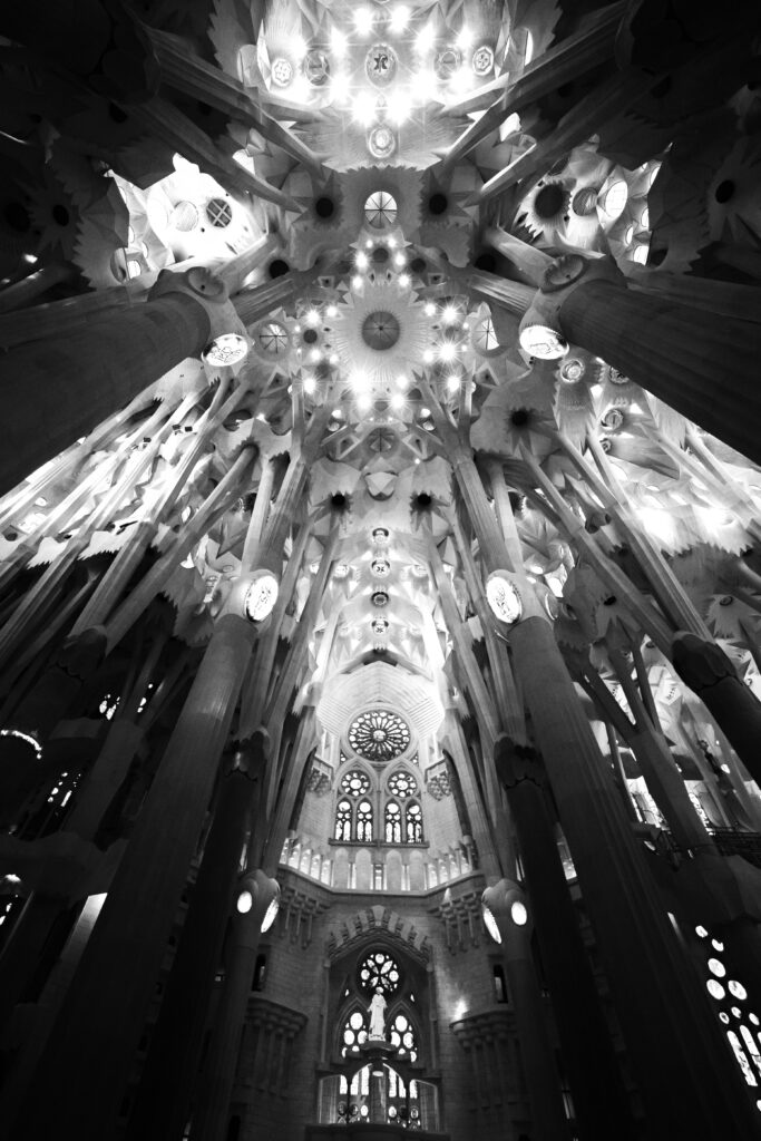 la colombe à la belle étoile